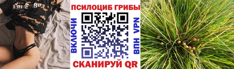 Галлюциногенные грибы Psilocybine cubensis  Пугачёв 